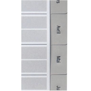 Noki - Jeu de 12 intercalaires mensuels en polypropylène gris, format A4 - 100745246