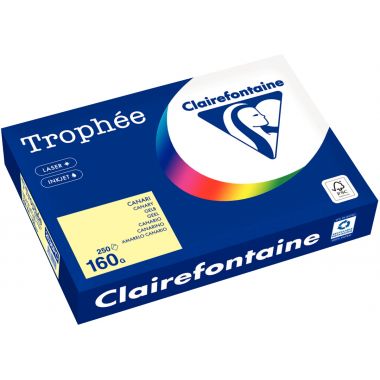 Paquet de 250 feuilles format A4 160g canari CLAIREFONTAINE TROPHEE