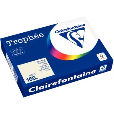 Paquet de 250 feuilles format A4 160g gris CLAIREFONTAINE TROPHEE