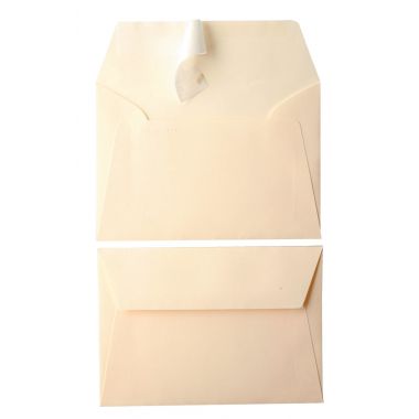 Paquet de 20 enveloppes Pollen 114x162mm 120g ivoire