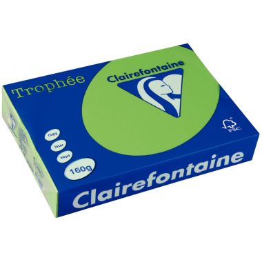 Paquet de 250 feuilles format A3 160g vert menthe CLAIREFONTAINE TROPHEE