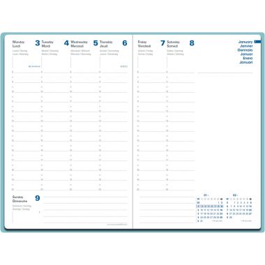 Agenda semainier Equology 16x24 bleu