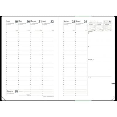 Agenda semainier Calypso 16x24 Vert céladon