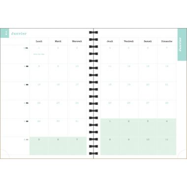 Agenda semainier Sophie 15x21cm violettes