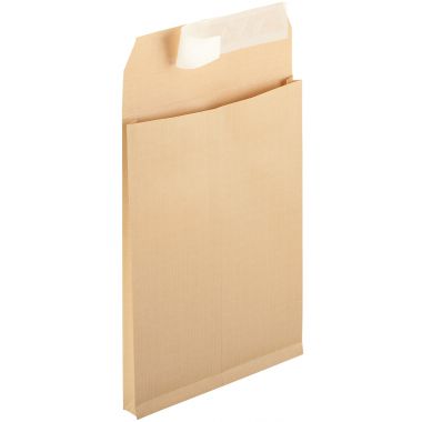 Paquet de 50 pochettes kraft armé 229x324mm 120g soufflet 30mm bande siliconée fenêtre 50x100mm