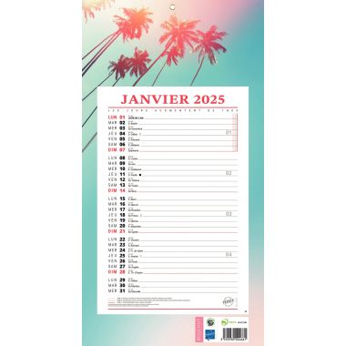 Calendrier mensuel 12 feuilles 36x19cm exotique