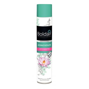 Boldair - Aérosol 500ml désodorisant aromathérapie patchouli - PV56075901